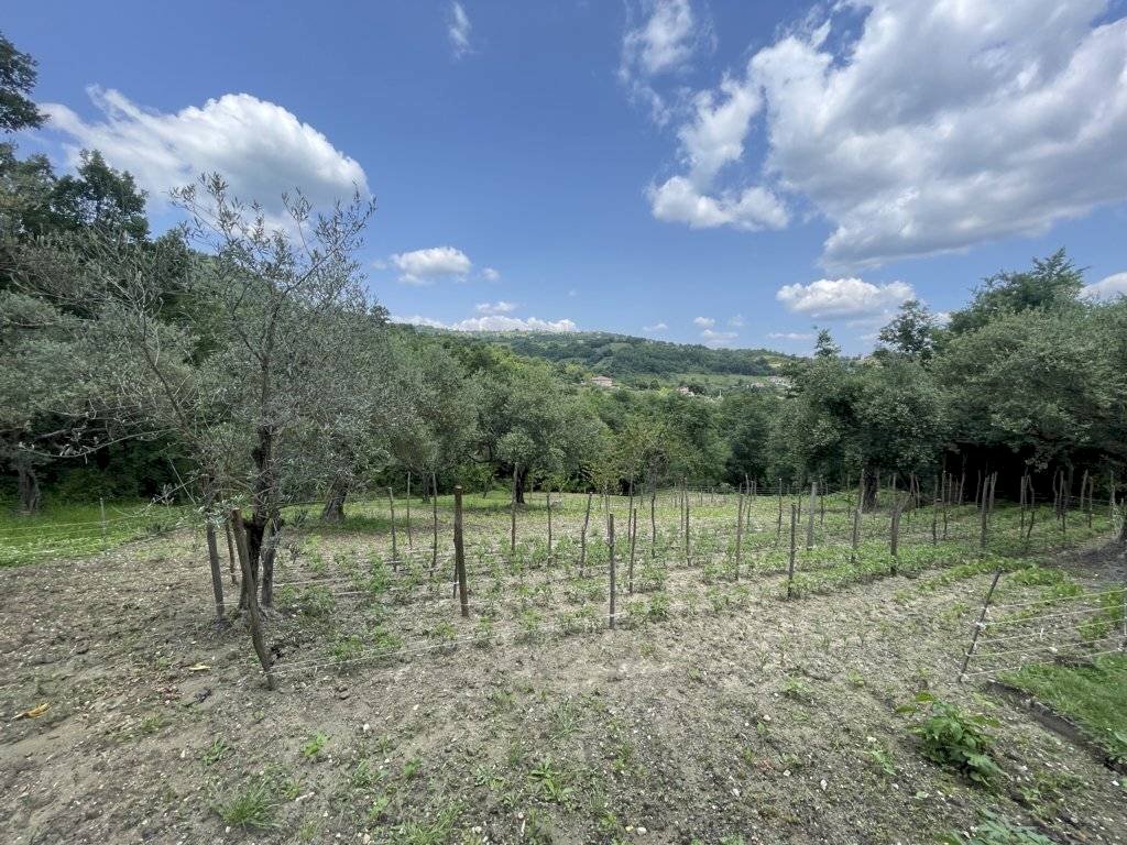 Foto 3 - Independent house macchia del monte, Montemarano - photo 3