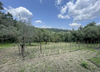 Foto 3 - Casa indipendente macchia del monte, Montemarano - foto 3