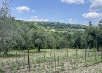 Foto 4 - Casa indipendente macchia del monte, Montemarano - foto 4