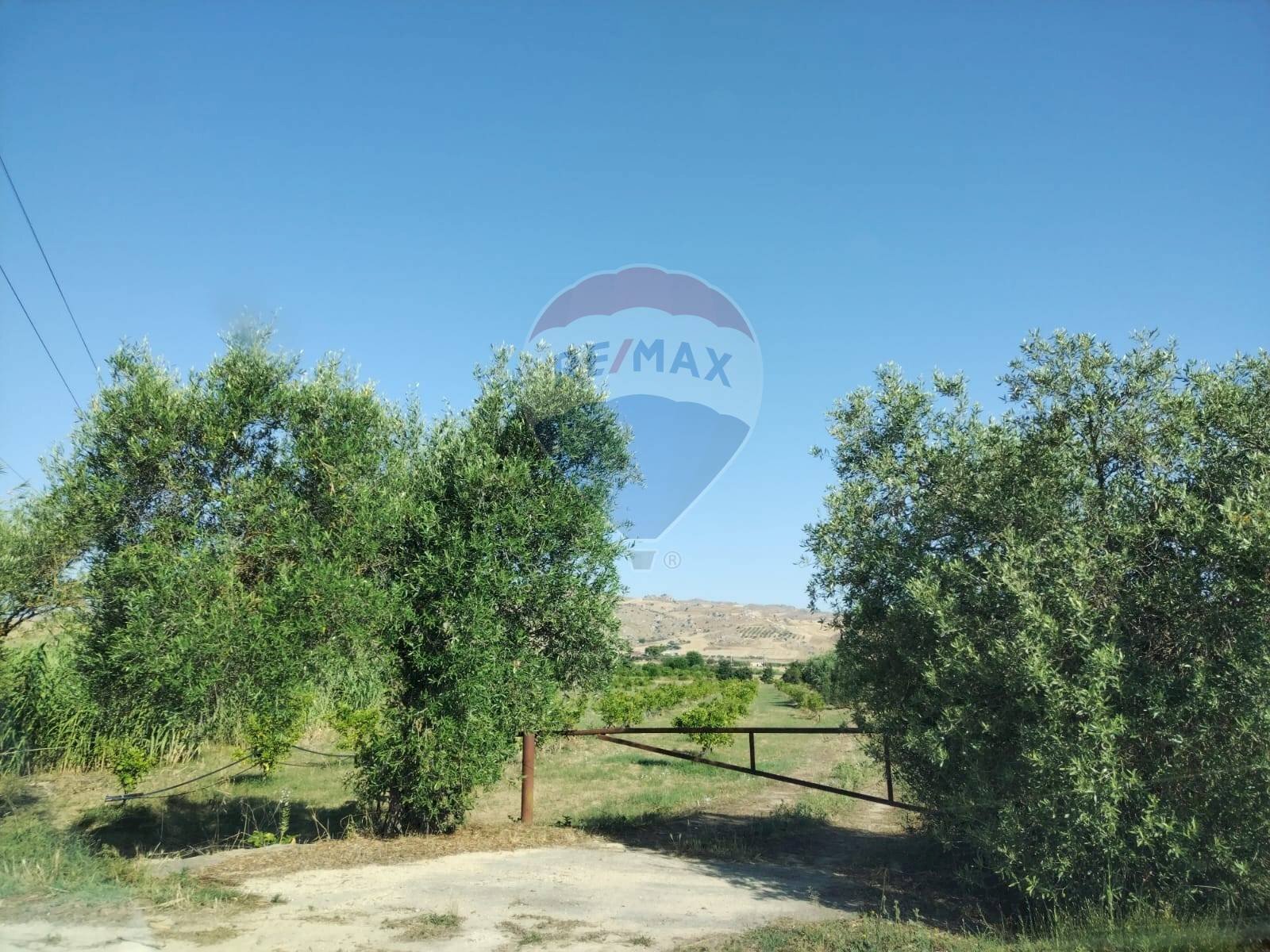 Giardino - Agricultural land Contrada Santa Croce
 
snc, Mineo - photo 1