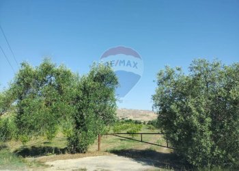 Giardino - Terreno agricolo Contrada Santa Croce
snc, Mineo - foto 1