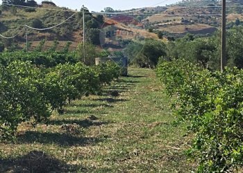 Vista delle montagne - Terreno agricolo Contrada Santa Croce
snc, Mineo - foto 4