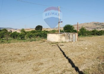 Giardino - Terreno agricolo Contrada Santa Croce
snc, Mineo - foto 9