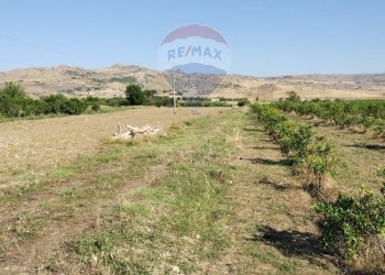 Vista delle montagne - Terreno agricolo Contrada Santa Croce
snc, Mineo - foto 10