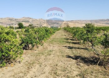 Vista delle montagne - Terreno agricolo Contrada Santa Croce
snc, Mineo - foto 11