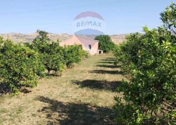 Giardino - Terreno agricolo Contrada Santa Croce
snc, Mineo - foto 14