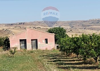 Casa all\'aperto - Terreno agricolo Contrada Santa Croce
snc, Mineo - foto 15