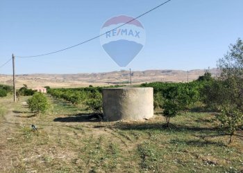 Giardino - Terreno agricolo Contrada Santa Croce
snc, Mineo - foto 16