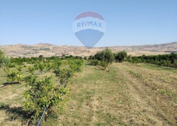 Vista delle montagne - Terreno agricolo Contrada Santa Croce
snc, Mineo - foto 20