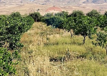 Vista delle montagne - Terreno agricolo Contrada Santa Croce
snc, Mineo - foto 23