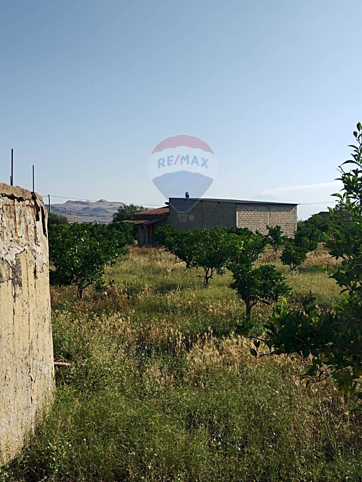 Edificio all\'aperto - Terreno agricolo Contrada Camemi
 
snc, Mineo - foto 3