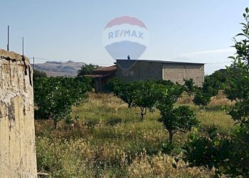 Edificio all\'aperto - Terreno agricolo Contrada Camemi
snc, Mineo - foto 3