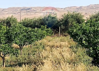 Vista delle montagne - Terreno agricolo Contrada Camemi
snc, Mineo - foto 11