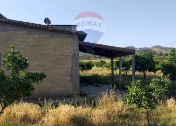 Casa all\'aperto - Terreno agricolo Contrada Camemi
snc, Mineo - foto 14