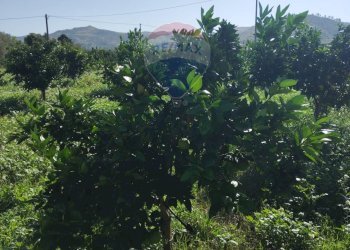 Vista delle montagne - Terreno agricolo Contrada Camemi
snc, Mineo - foto 28