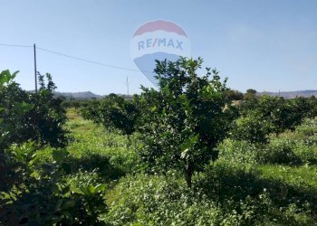 Vista delle montagne - Terreno agricolo Contrada Camemi
snc, Mineo - foto 29