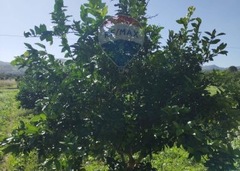 Non correlato - Terreno agricolo Contrada Camemi
snc, Mineo - foto 30