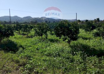 Vista delle montagne - Terreno agricolo Contrada Camemi
snc, Mineo - foto 37