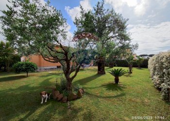 Giardino - Villa via Gubbio
 
1, Nettuno - foto 10