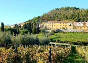 Vista delle montagne - Three-room apartment Via Delle Capanne
 
26, Rosignano Marittimo - photo 23