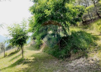 Giardino - Independent house Via Forchiusa Est
10, Serra San Quirico - photo 13