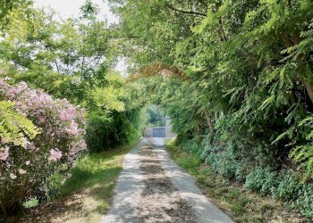 Giardino - Independent house Via Forchiusa Est
10, Serra San Quirico - photo 18