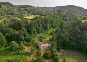 Foto 17 - Casa indipendente Volterra - foto 17