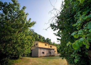 Foto 22 - Casa indipendente Volterra - foto 22