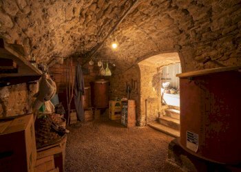 Foto 56 - Casa indipendente Volterra - foto 56