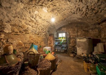 Foto 57 - Casa indipendente Volterra - foto 57