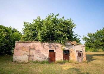 Foto 61 - Casa indipendente Volterra - foto 61