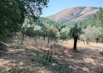 Foto 1 - Terreno agricolo giano vetusto, Giano Vetusto - foto 1