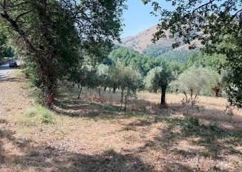 Foto 2 - Terreno agricolo giano vetusto, Giano Vetusto - foto 2