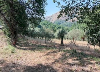 Foto 3 - Terreno agricolo giano vetusto, Giano Vetusto - foto 3