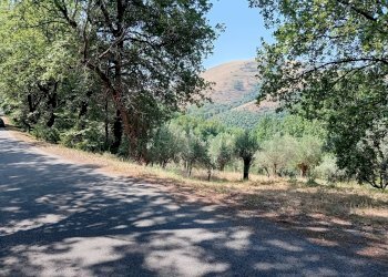 Foto 5 - Terreno agricolo giano vetusto, Giano Vetusto - foto 5