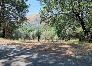 Foto 6 - Terreno agricolo giano vetusto, Giano Vetusto - foto 6