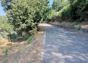 Foto 7 - Terreno agricolo giano vetusto, Giano Vetusto - foto 7