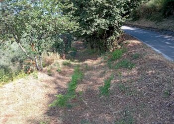 Foto 8 - Terreno agricolo giano vetusto, Giano Vetusto - foto 8