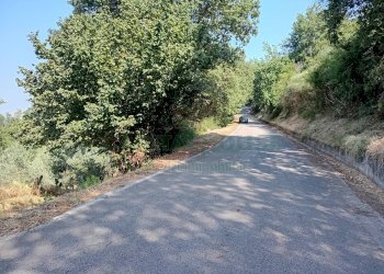 Foto 12 - Terreno agricolo giano vetusto, Giano Vetusto - foto 12