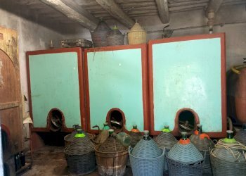 Foto 6 - Terreno agricolo VIA DEL CHIANTI, Terricciola - foto 6