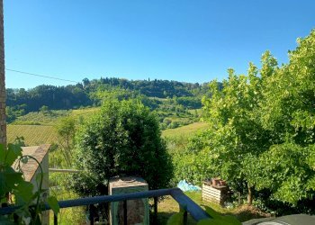 Foto 8 - Terreno agricolo VIA DEL CHIANTI, Terricciola - foto 8