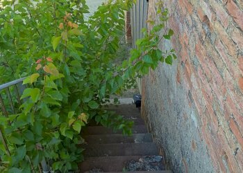 Foto 10 - Terreno agricolo VIA DEL CHIANTI, Terricciola - foto 10