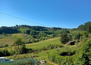 Foto 11 - Terreno agricolo VIA DEL CHIANTI, Terricciola - foto 11