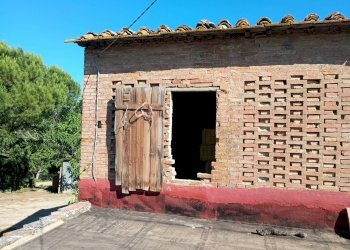 Foto 12 - Terreno agricolo VIA DEL CHIANTI, Terricciola - foto 12