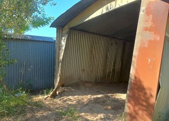 Foto 15 - Terreno agricolo VIA DEL CHIANTI, Terricciola - foto 15