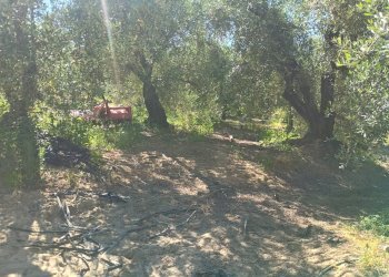 Foto 16 - Terreno agricolo VIA DEL CHIANTI, Terricciola - foto 16