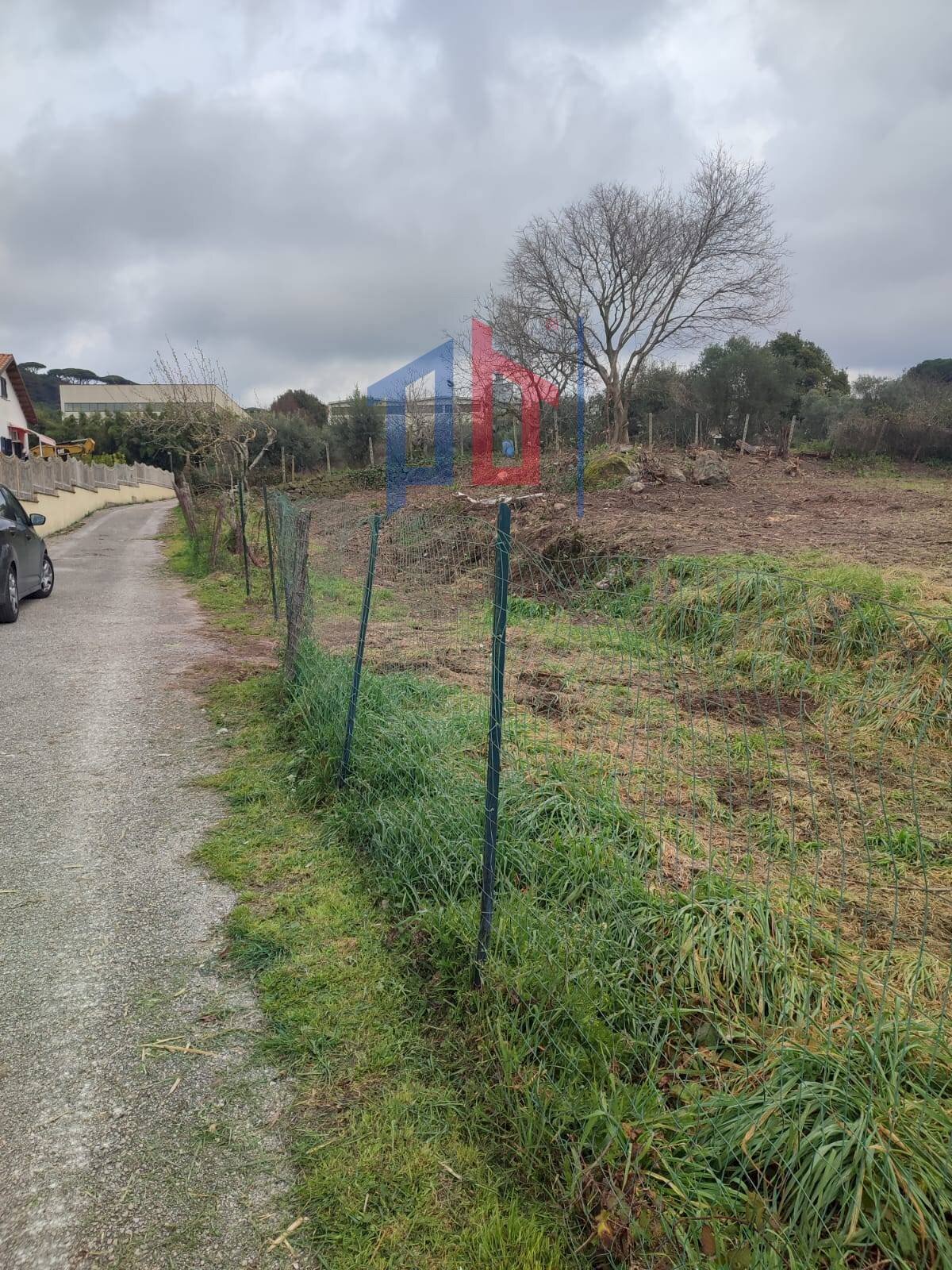 Foto 2 - Terreno agricolo Vicolo Sant. Antonio, Albano Laziale - foto 2