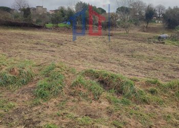 Foto 1 - Terreno agricolo Vicolo Sant. Antonio, Albano Laziale - foto 1