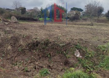 Foto 3 - Terreno agricolo Vicolo Sant. Antonio, Albano Laziale - foto 3