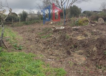 Foto 4 - Terreno agricolo Vicolo Sant. Antonio, Albano Laziale - foto 4